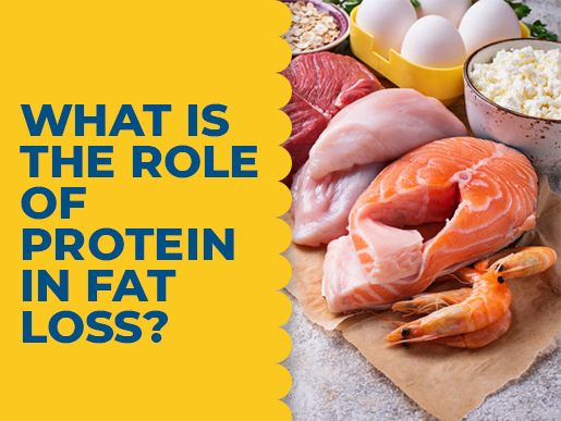 What is the role of Protein in Fat loss?
