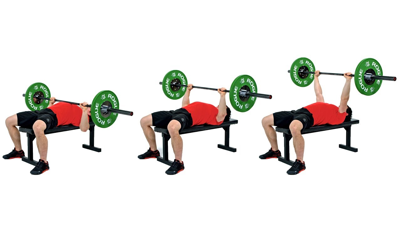5 Tips To Eliminate Shoulder Pain During the Bench Press 