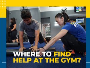 Where to Find Help at the Gym?