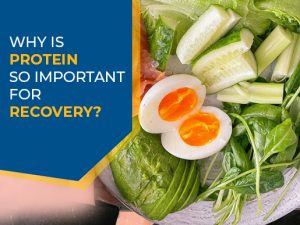 Why is protein so important for recovery?